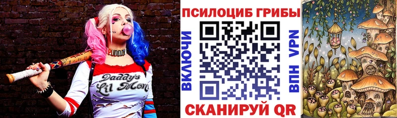 где найти Новохопёрск Галлюциногенные грибы MAGIC MUSHROOMS